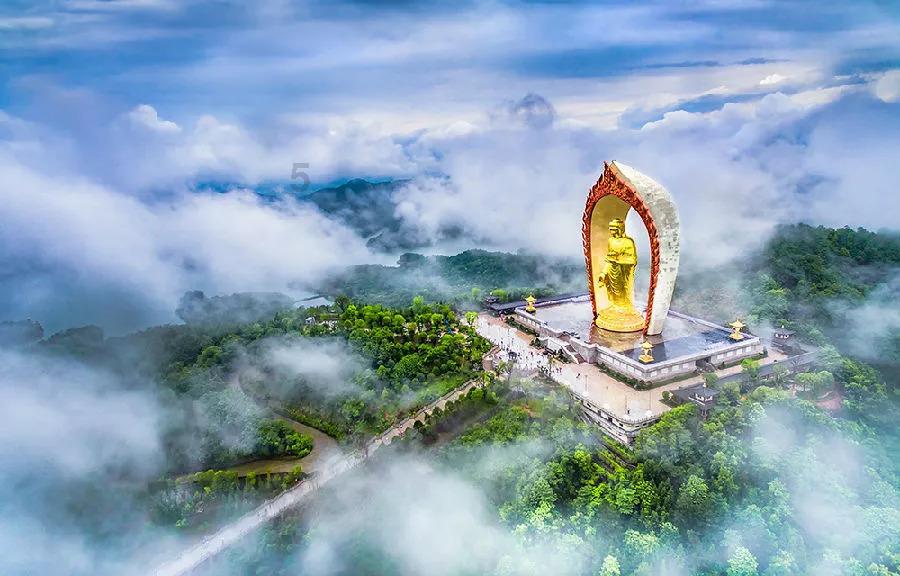 虫虫助手下载