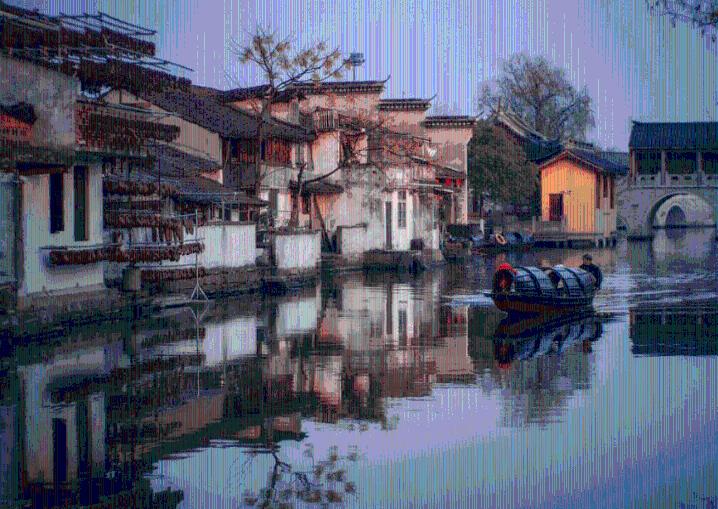 动物帮帮忙保卫家园